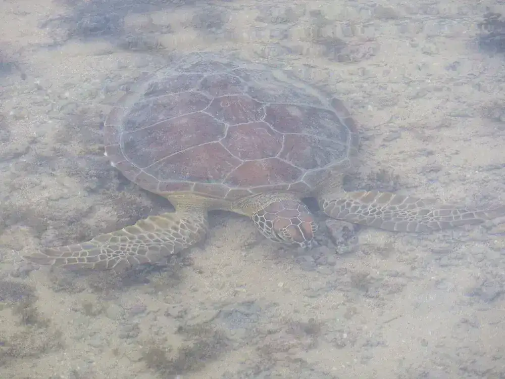 Piscinas naturais em Cabrália