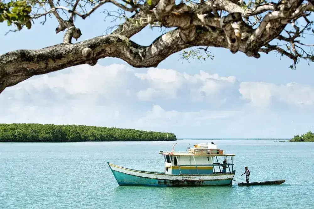 Transfer Porto Seguro Santo André